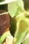 Nonton film JoJo’s Bizarre Adventure Season 5 Episode 14 terbaru di Dutamovie21
