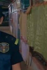 Nonton film Darna Season 1 Episode 48 terbaru di Dutamovie21