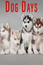 Nonton film Dog Days (2016) terbaru di Dutamovie21