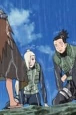 Nonton film Naruto Shippūden Season 14 Episode 313 terbaru di Dutamovie21