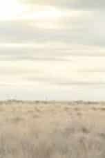 Nonton film Breaking Bad Season 3 Episode 13 terbaru di Dutamovie21