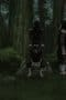 Nonton film Naruto Shippūden Season 11 Episode 233 terbaru di Dutamovie21 Nonton film Naruto Shippūden Season 11 Episode 233 terbaru di Dutamovie21