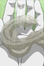Nonton film Naruto Shippūden Season 6 Episode 114 terbaru di Dutamovie21