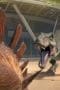 Nonton film Jurassic World: Camp Cretaceous Season 4 Episode 7 terbaru di Dutamovie21