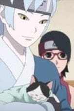 Nonton film Boruto: Naruto Next Generations Season 1 Episode 104 terbaru di Dutamovie21