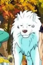 Nonton film Toriko Season 2 Episode 33 terbaru di Dutamovie21