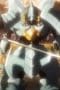 Nonton film Overlord Season 2 Episode 5 terbaru di Dutamovie21 Nonton film Overlord Season 2 Episode 5 terbaru di Dutamovie21