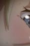 Nonton film Busty Princess Hypnosis Season 1 Episode 2 terbaru di Dutamovie21