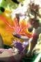 Nonton film JoJo’s Bizarre Adventure Season 1 Episode 26 terbaru di Dutamovie21