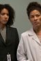 Nonton film Grey’s Anatomy Season 13 Episode 10 terbaru di Dutamovie21 Nonton film Grey’s Anatomy Season 13 Episode 10 terbaru di Dutamovie21