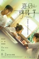 Nonton film I am the Secret in Your Heart (2024) terbaru di Dutamovie21