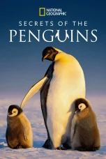 Nonton film Secrets of the Penguins (2025) terbaru di Dutamovie21