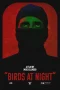 Nonton film Birds at Night (2023) terbaru di Dutamovie21
