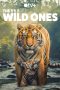 Nonton film The Wild Ones (2025) terbaru di Dutamovie21