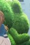 Nonton film Secrets of the Silent Witch Season 1 Episode 2 terbaru di Dutamovie21