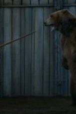 Nonton film Game of Thrones Season 3 Episode 7 terbaru di Dutamovie21