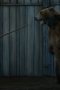 Nonton film Game of Thrones Season 3 Episode 7 terbaru di Dutamovie21