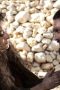 Nonton film Game of Thrones Season 1 Episode 8 terbaru di Dutamovie21