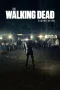 Nonton film The Walking Dead Season 7 (2016) terbaru di Dutamovie21