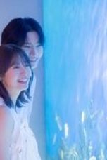 Nonton film Ebi Datte Tai ga Tsuritai Season 1 Episode 8 terbaru di Dutamovie21