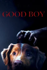 Nonton film Good Boy (2025) terbaru di Dutamovie21