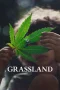 Nonton film Grassland (2024) terbaru di Dutamovie21