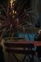 Nonton film Nobody Wants This Season 2 Episode 8 terbaru di Dutamovie21
