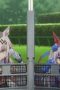 Nonton film Umamusume: Cinderella Gray Season 2 Episode 8 terbaru di Dutamovie21