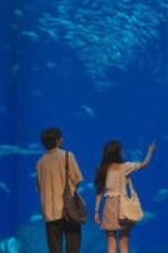 Nonton film Gimbap and Onigiri Season 1 Episode 2 terbaru di Dutamovie21