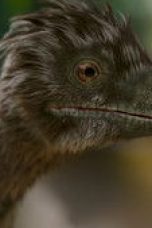 Nonton film The Dinosaurs Season 1 Episode 1 terbaru di Dutamovie21