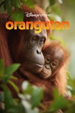 Nonton film Orangutan (2026) terbaru di Dutamovie21