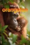 Nonton film Orangutan (2026) terbaru di Dutamovie21