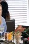Nonton film Grey’s Anatomy Season 22 Episode 17 terbaru di Dutamovie21