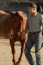 Nonton film Dutton Ranch Season 1 Episode 5 terbaru di Dutamovie21
