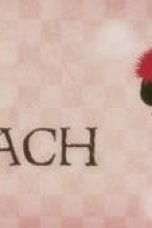 Nonton film Bleach Season 1 Episode 207 terbaru di Dutamovie21