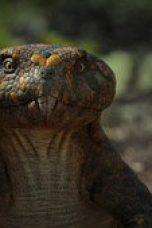 Nonton film Surviving Earth Season 1 Episode 2 terbaru di Dutamovie21