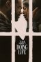 Nonton film Doing Life (2026) terbaru di Dutamovie21